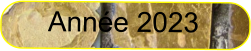Année 2023