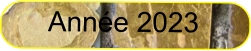 Année 2023