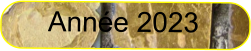 Année 2023