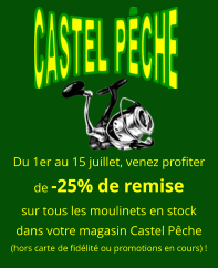 Du 1er au 15 juillet, venez profiter de -25% de remise sur tous les moulinets en stock dans votre magasin Castel Pêche (hors carte de fidélité ou promotions en cours) !